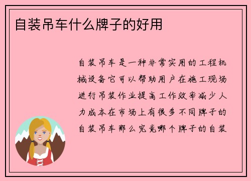自装吊车什么牌子的好用