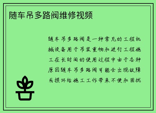 随车吊多路阀维修视频